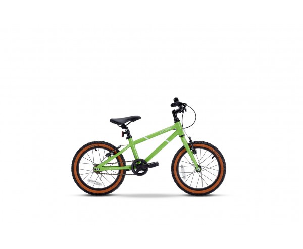 Raleigh bike online green